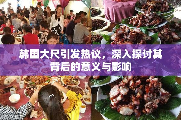 韩国大尺引发热议，深入探讨其背后的意义与影响