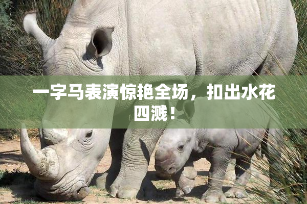 一字马表演惊艳全场，扣出水花四溅！