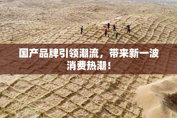国产品牌引领潮流，带来新一波消费热潮！