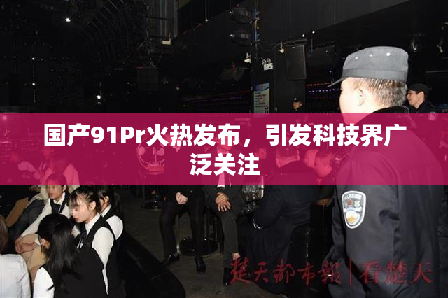 国产91Pr火热发布，引发科技界广泛关注