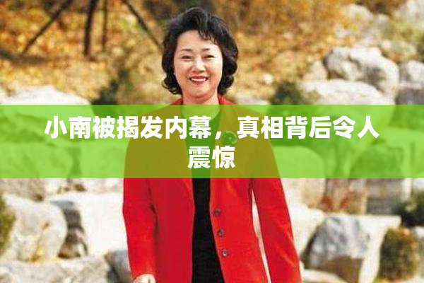 小南被揭发内幕，真相背后令人震惊