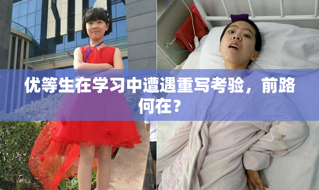 优等生在学习中遭遇重写考验，前路何在？