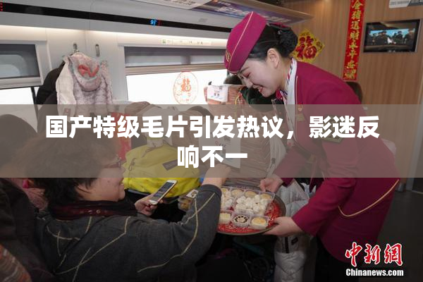 国产特级毛片引发热议，影迷反响不一