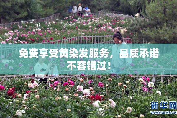 免费享受黄染发服务，品质承诺不容错过！