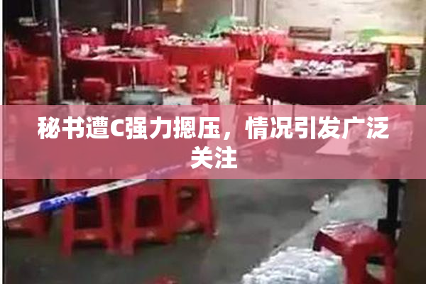 秘书遭C强力摁压，情况引发广泛关注