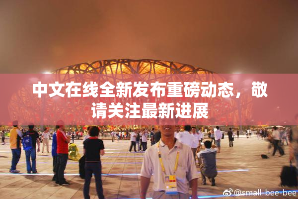 中文在线全新发布重磅动态，敬请关注最新进展