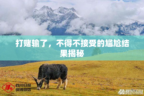 打赌输了，不得不接受的尴尬结果揭秘
