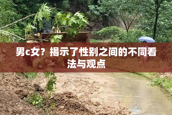 男c女？揭示了性别之间的不同看法与观点