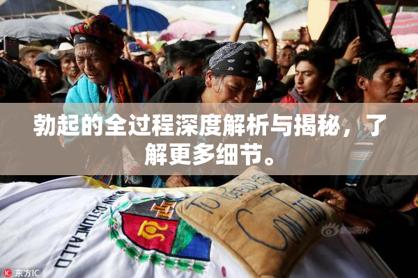 勃起的全过程深度解析与揭秘，了解更多细节。