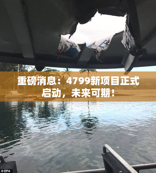 重磅消息：4799新项目正式启动，未来可期！