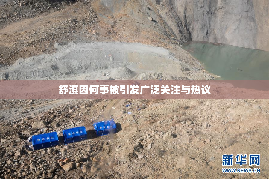 舒淇因何事被引发广泛关注与热议
