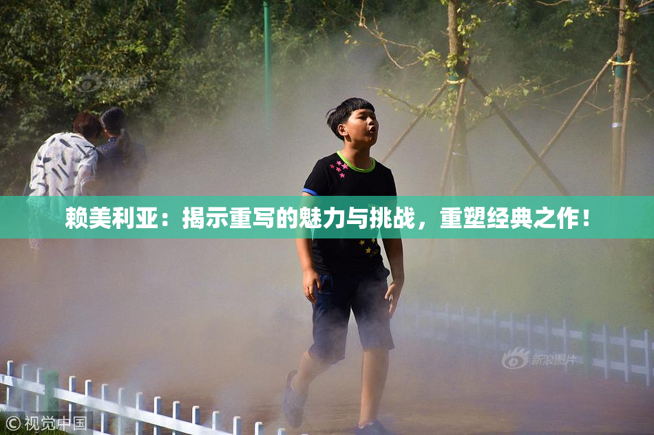 赖美利亚：揭示重写的魅力与挑战，重塑经典之作！