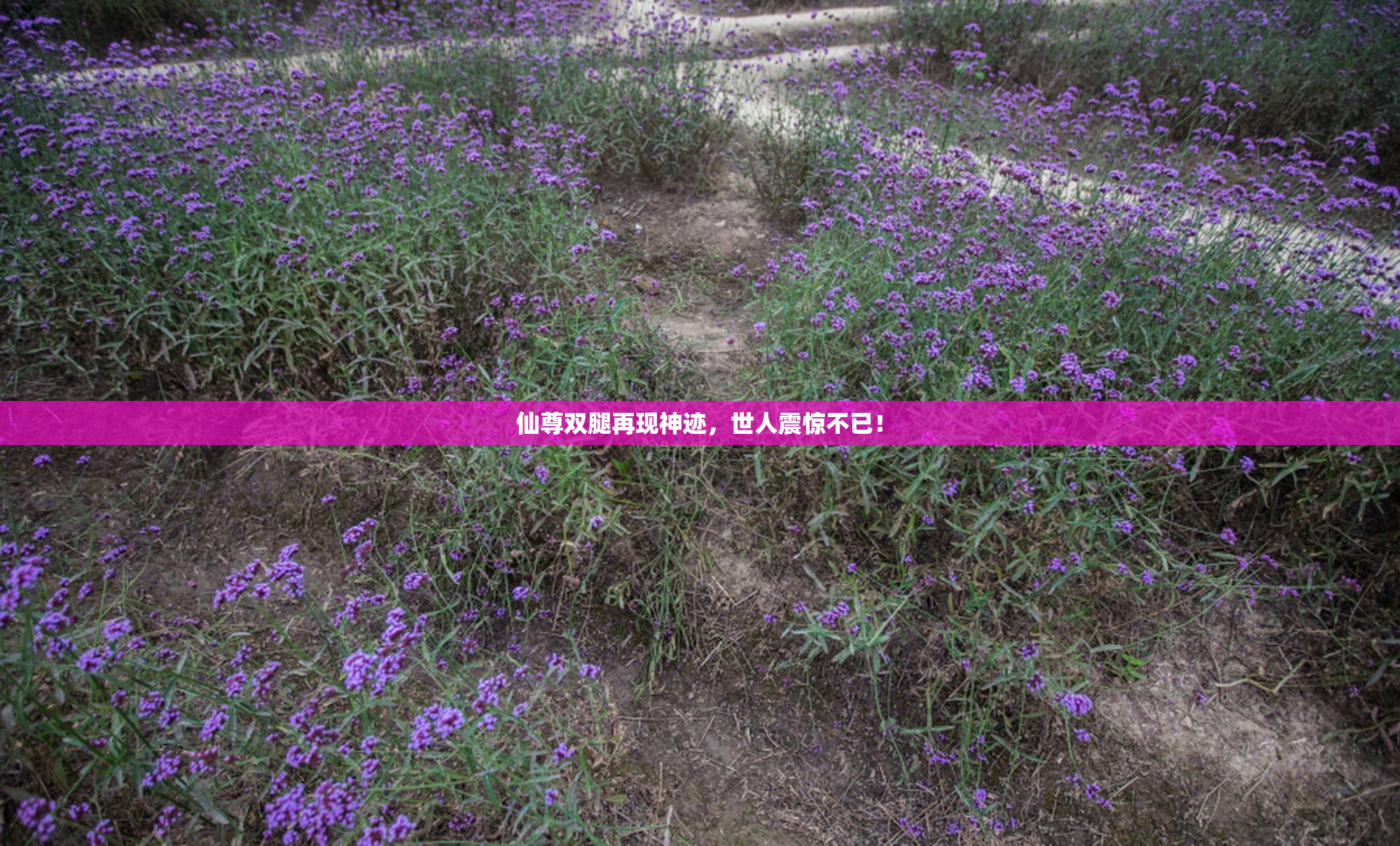 仙尊双腿再现神迹，世人震惊不已！