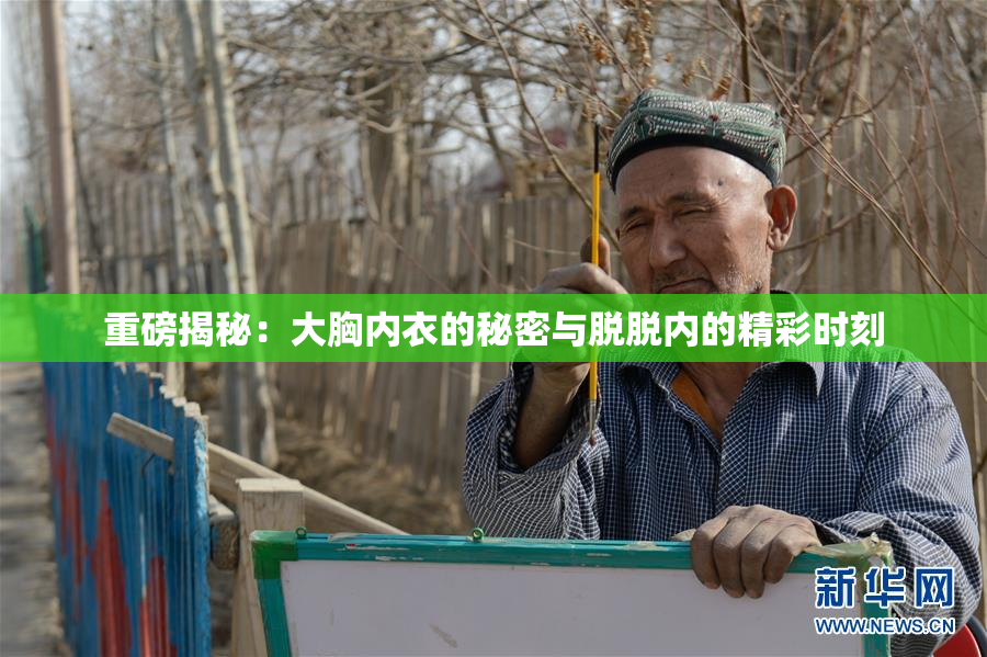 重磅揭秘：大胸内衣的秘密与脱脱内的精彩时刻
