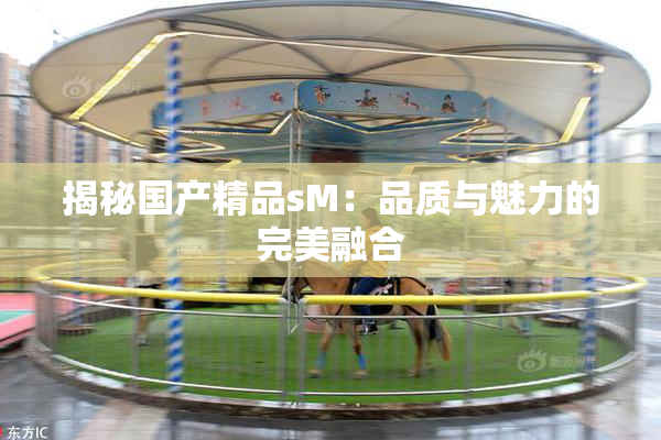 揭秘国产精品sM：品质与魅力的完美融合