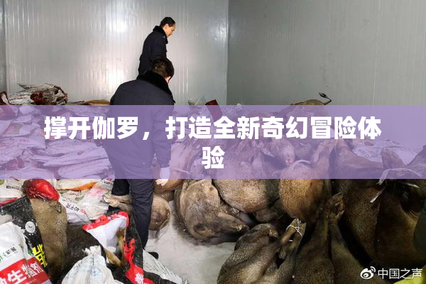 撑开伽罗，打造全新奇幻冒险体验