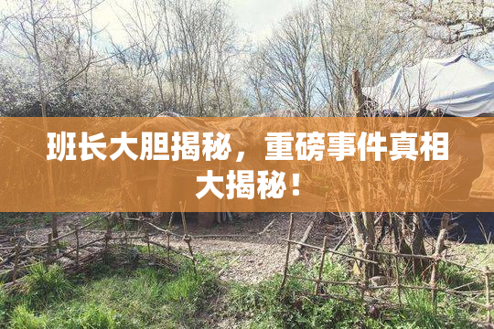 班长大胆揭秘，重磅事件真相大揭秘！