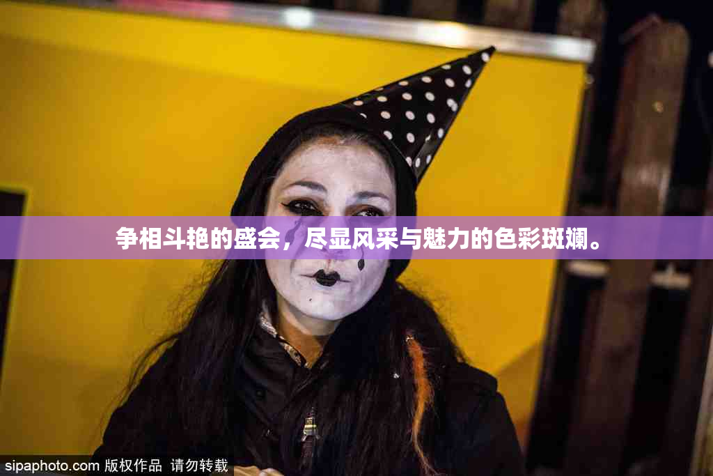 争相斗艳的盛会，尽显风采与魅力的色彩斑斓。