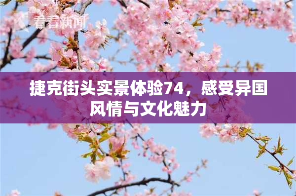 捷克街头实景体验74，感受异国风情与文化魅力