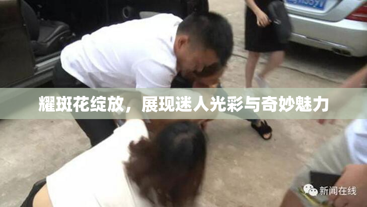 耀斑花绽放，展现迷人光彩与奇妙魅力