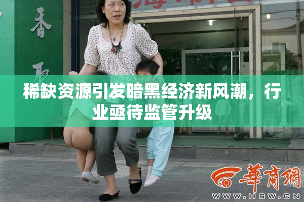 稀缺资源引发暗黑经济新风潮，行业亟待监管升级