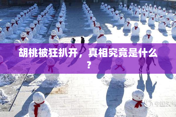 胡桃被狂扒开，真相究竟是什么？