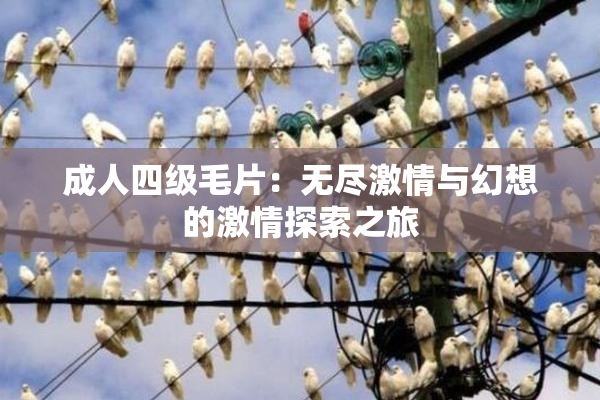 成人四级毛片：无尽激情与幻想的激情探索之旅