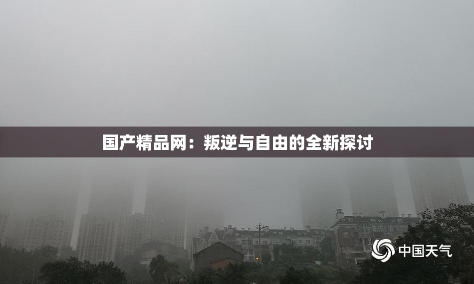 国产精品网：叛逆与自由的全新探讨