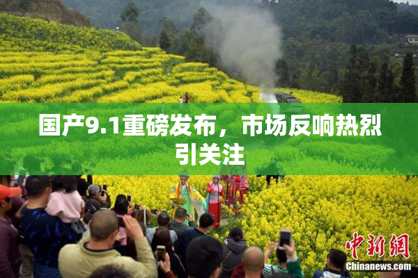 国产9.1重磅发布，市场反响热烈引关注