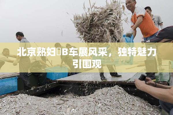北京熟妇槡B车展风采，独特魅力引围观