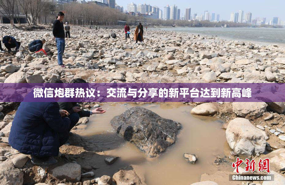 微信炮群热议：交流与分享的新平台达到新高峰