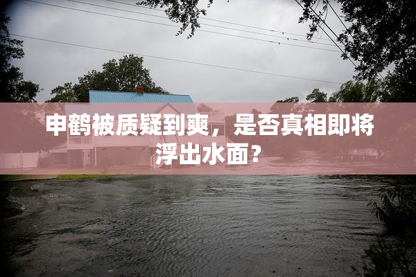 申鹤被质疑到爽，是否真相即将浮出水面？