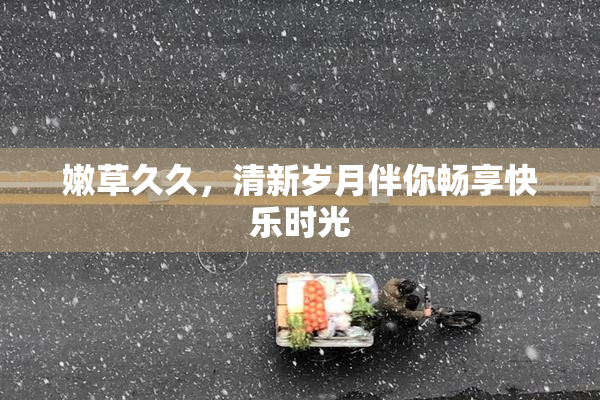 嫩草久久，清新岁月伴你畅享快乐时光