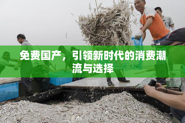 免费国产，引领新时代的消费潮流与选择