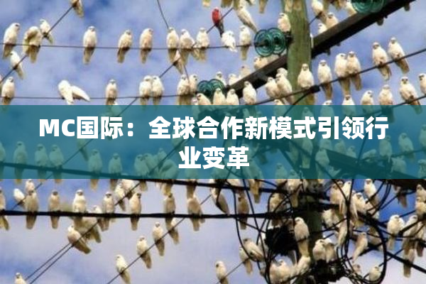 MC国际：全球合作新模式引领行业变革