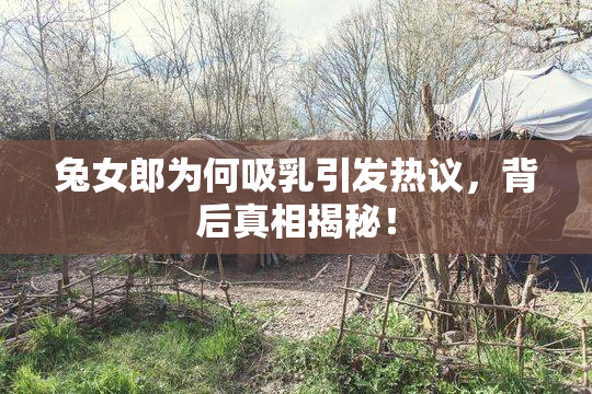 兔女郎为何吸乳引发热议，背后真相揭秘！