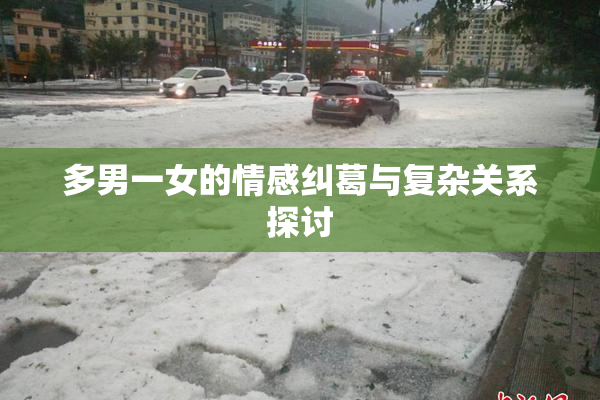 多男一女的情感纠葛与复杂关系探讨