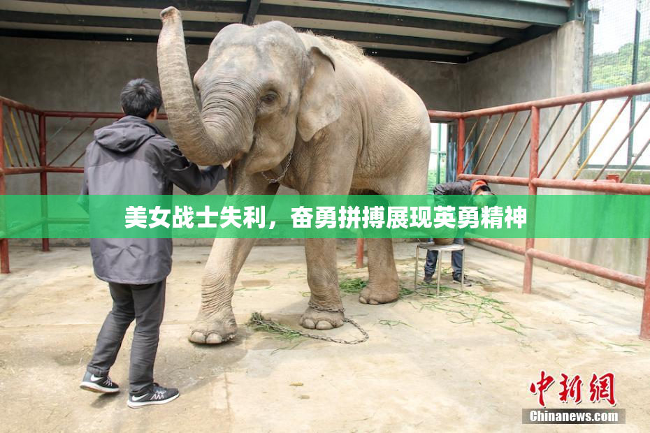 美女战士失利，奋勇拼搏展现英勇精神