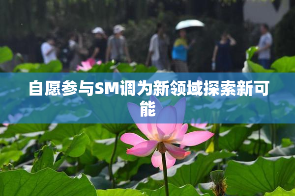 自愿参与SM调为新领域探索新可能