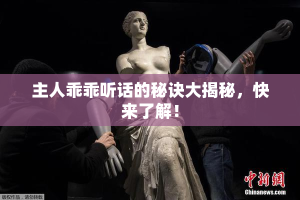 主人乖乖听话的秘诀大揭秘，快来了解！