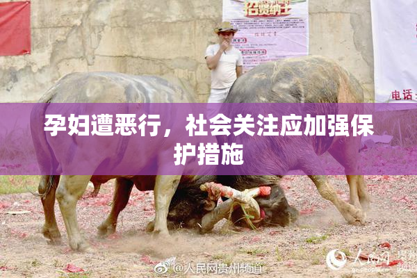 孕妇遭恶行，社会关注应加强保护措施