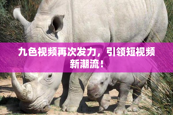 九色视频再次发力，引领短视频新潮流！