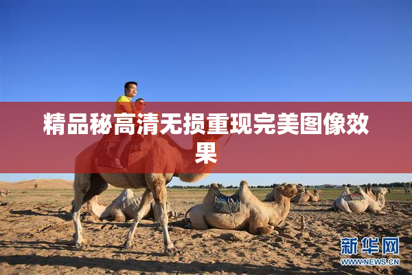 精品秘高清无损重现完美图像效果