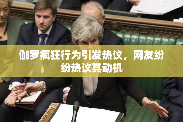 伽罗疯狂行为引发热议，网友纷纷热议其动机