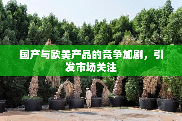 国产与欧美产品的竞争加剧，引发市场关注