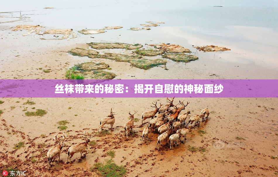丝袜带来的秘密：揭开自慰的神秘面纱