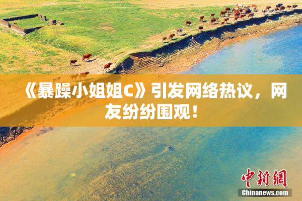 《暴躁小姐姐C》引发网络热议，网友纷纷围观！