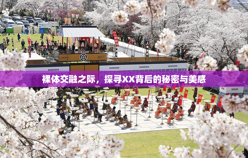 裸体交融之际，探寻XX背后的秘密与美感