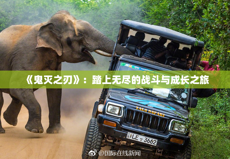 《鬼灭之刃》：踏上无尽的战斗与成长之旅