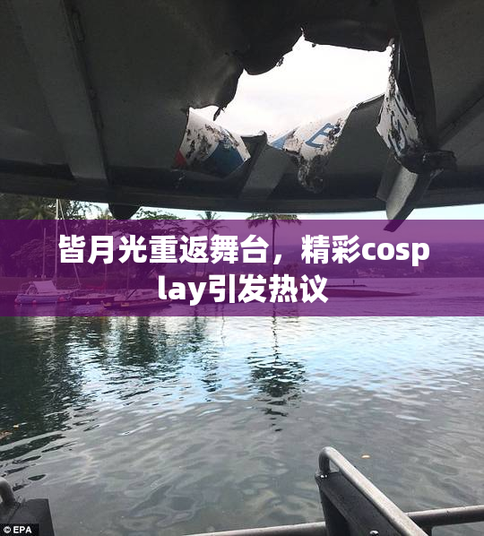 皆月光重返舞台，精彩cosplay引发热议